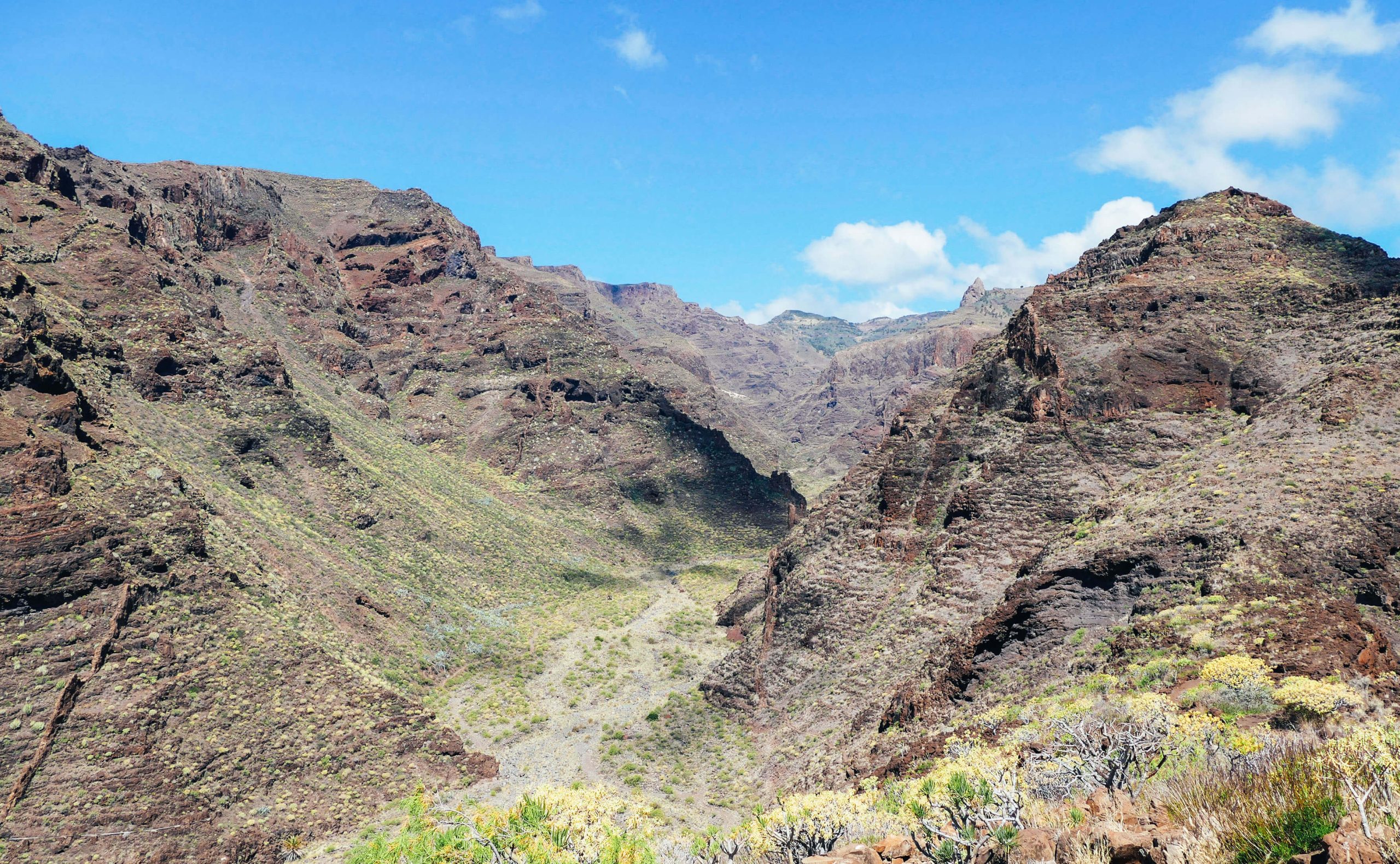 La Gomera 4