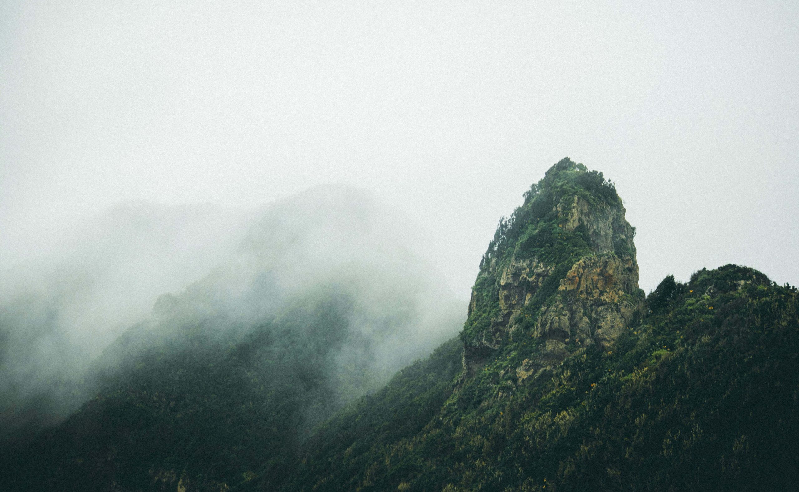 La Palma 1