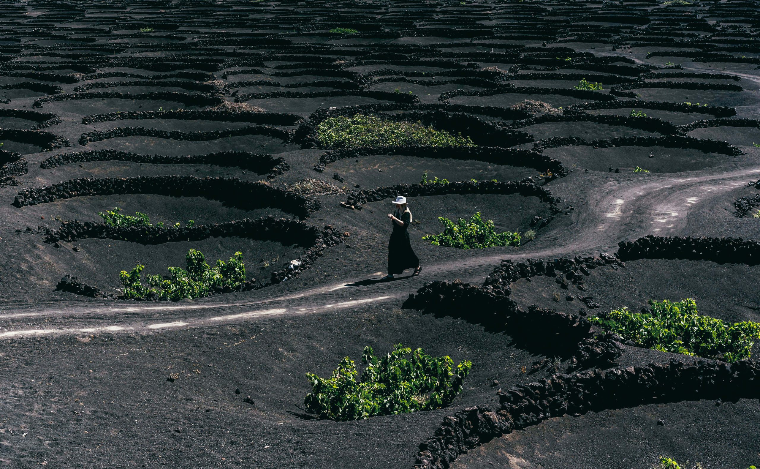 Lanzarote 1