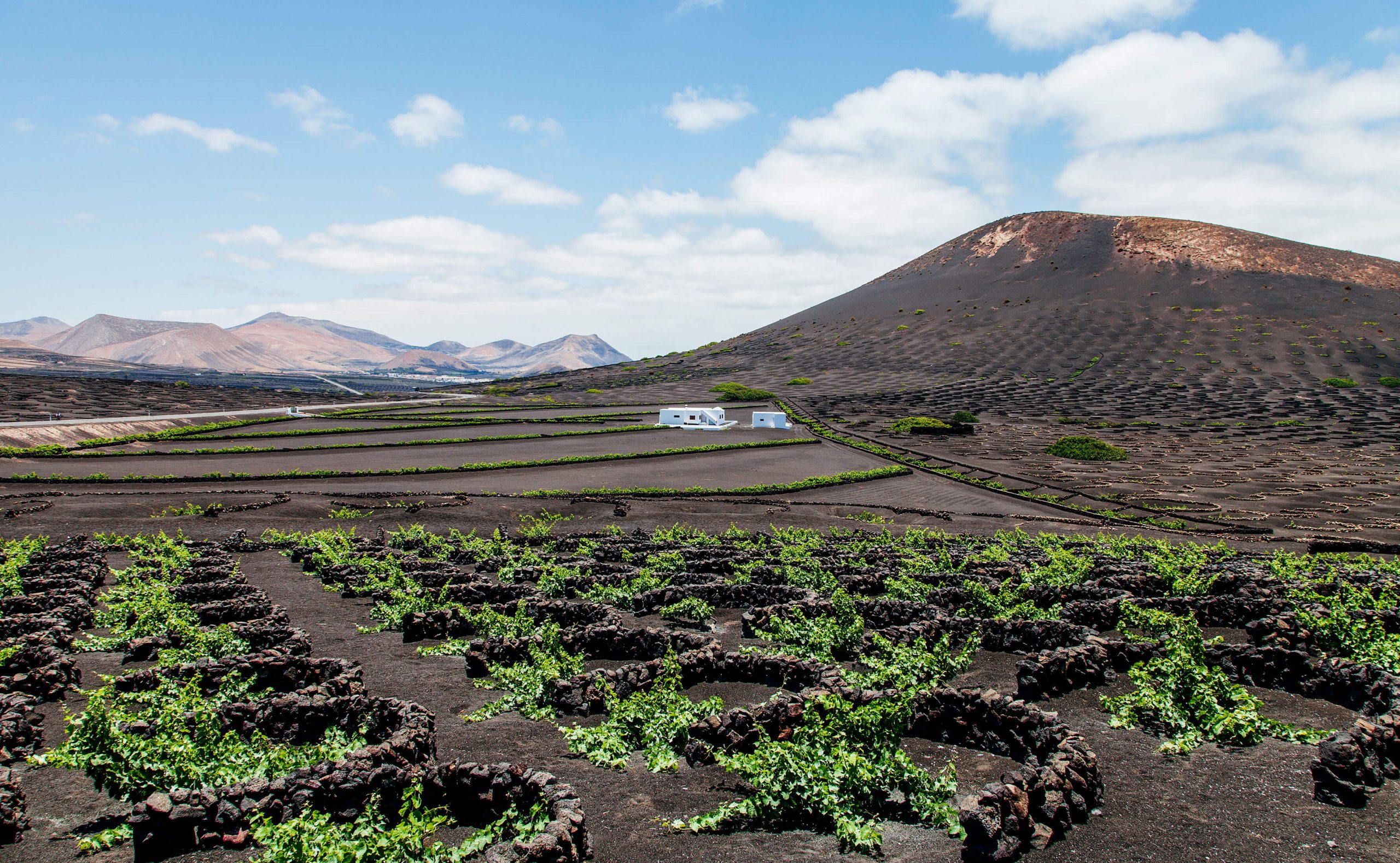 Lanzarote 4